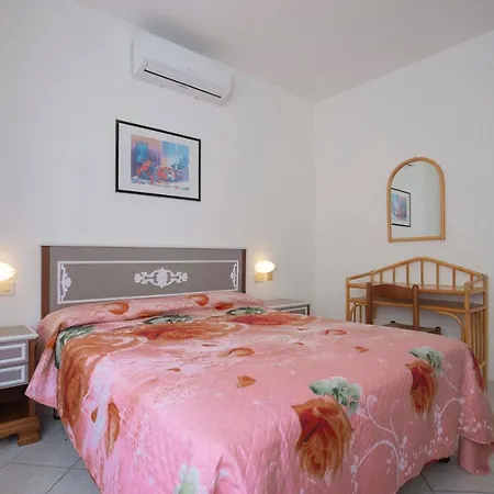 Lentisco Centro - Helloelba